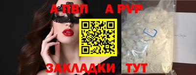 шишки Тверь