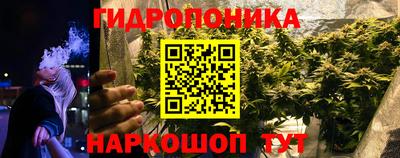 Альфа ПВП Тара