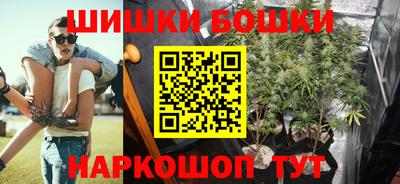 шишки Тверь