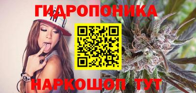 Альфа ПВП Тара