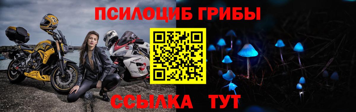 Псилоцибиновые грибы Magic Shrooms  Вход с VPN  Нерюнгри 